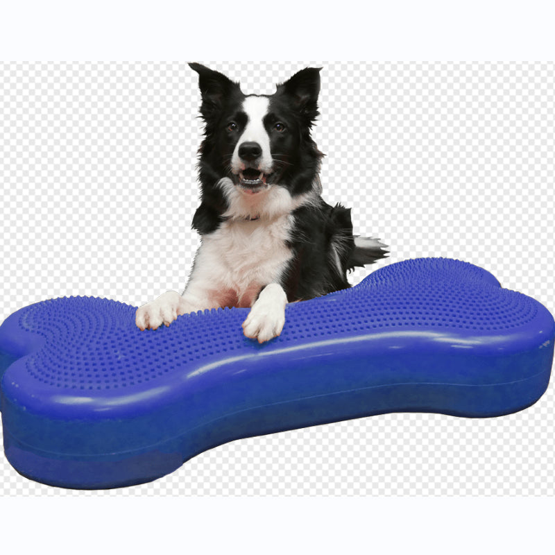 FITbone Giant- Balance Training Platform - Giant - Pet medical equipment