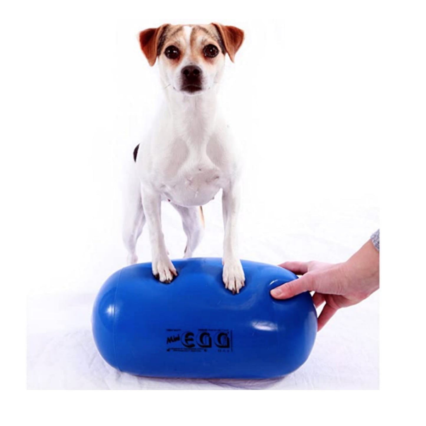 MiniEGG, 14"diam. x 7"H - Pet medical equipment