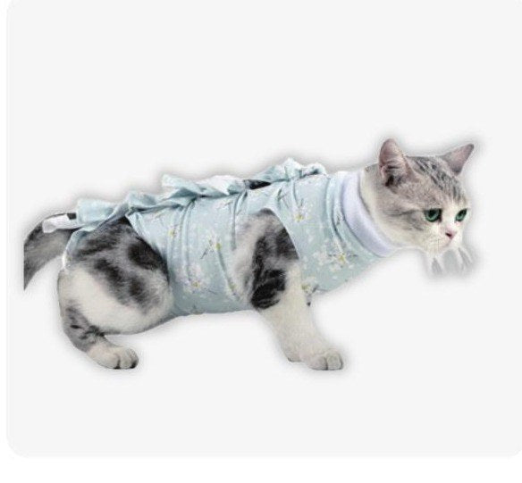 Cat sterilization suit