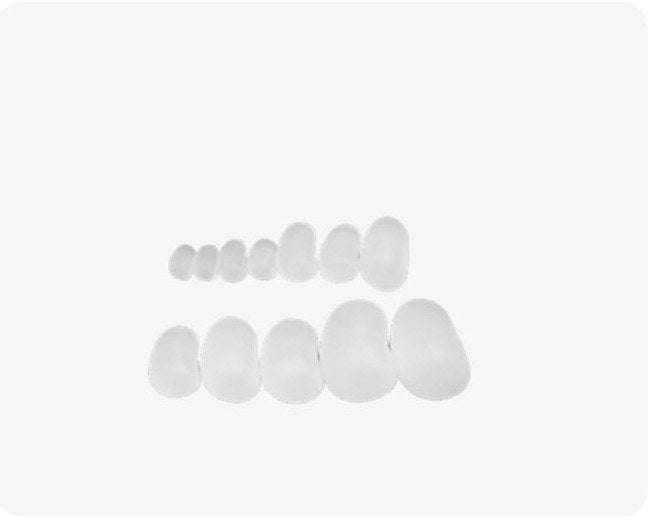 Pet Testicular Implant
