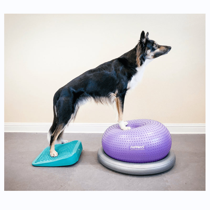 Dog Balance Ramp Dog Balance Ramp – Petmedtools