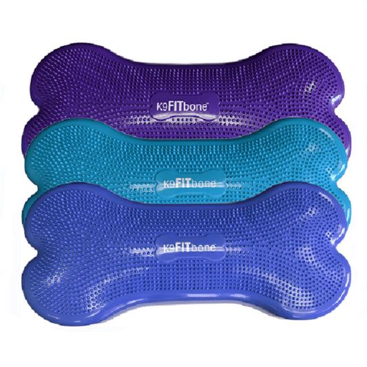 FITbone Giant- Balance Training Platform - Giant - Pet medical equipment