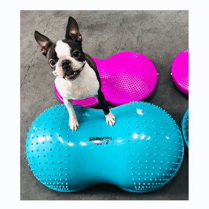 Fitness and Rehabilitation for Dogs - Pet medical equipment