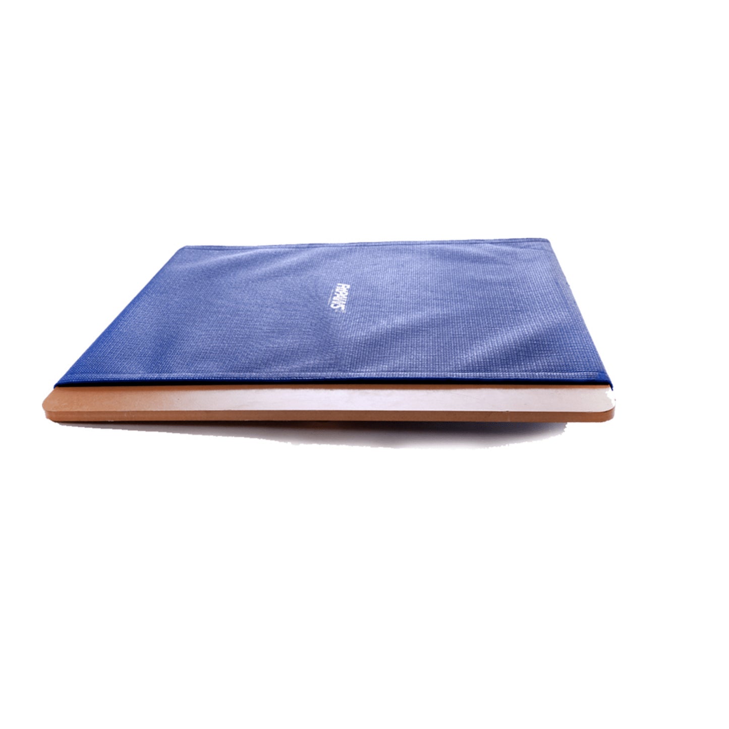 Giant Rocker Board - Pet medical equipment