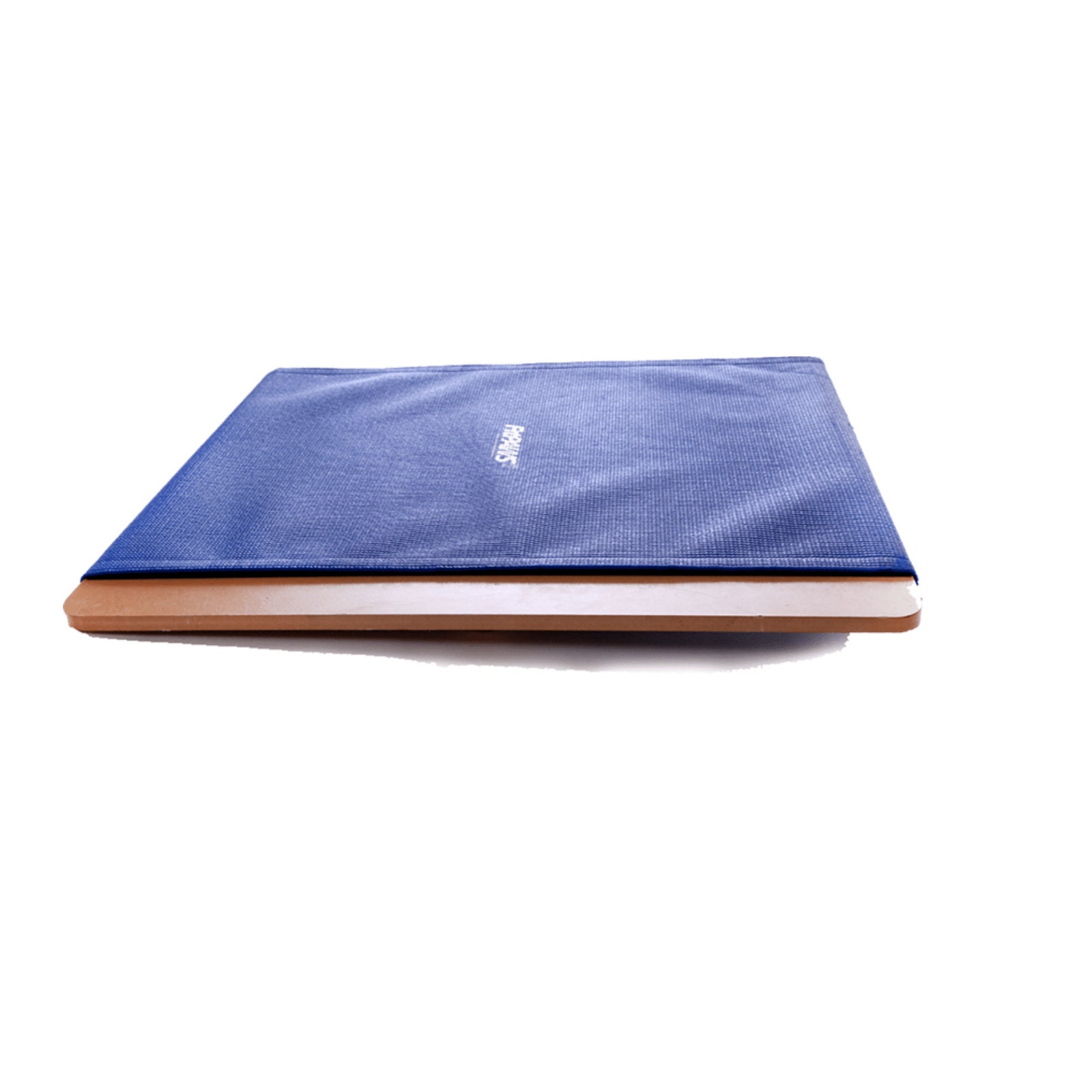 Giant Rocker Board - Pet medical equipment