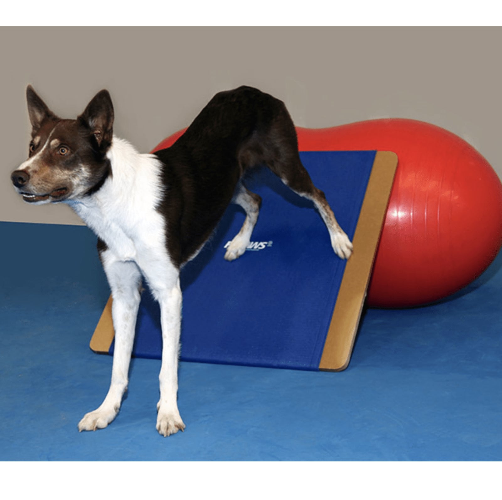 Giant Rocker Board - Pet medical equipment