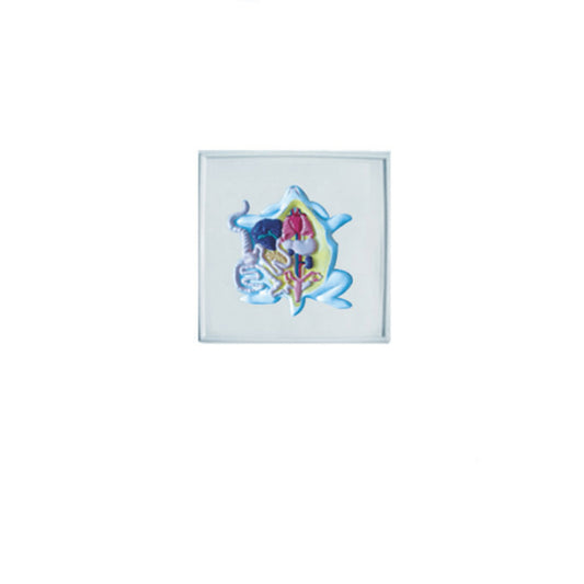 The Relief Model of Rabbit Dissection - Pet medical equipment