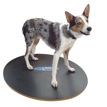 Wobble Board 20" & 36" - Pet medical equipment
